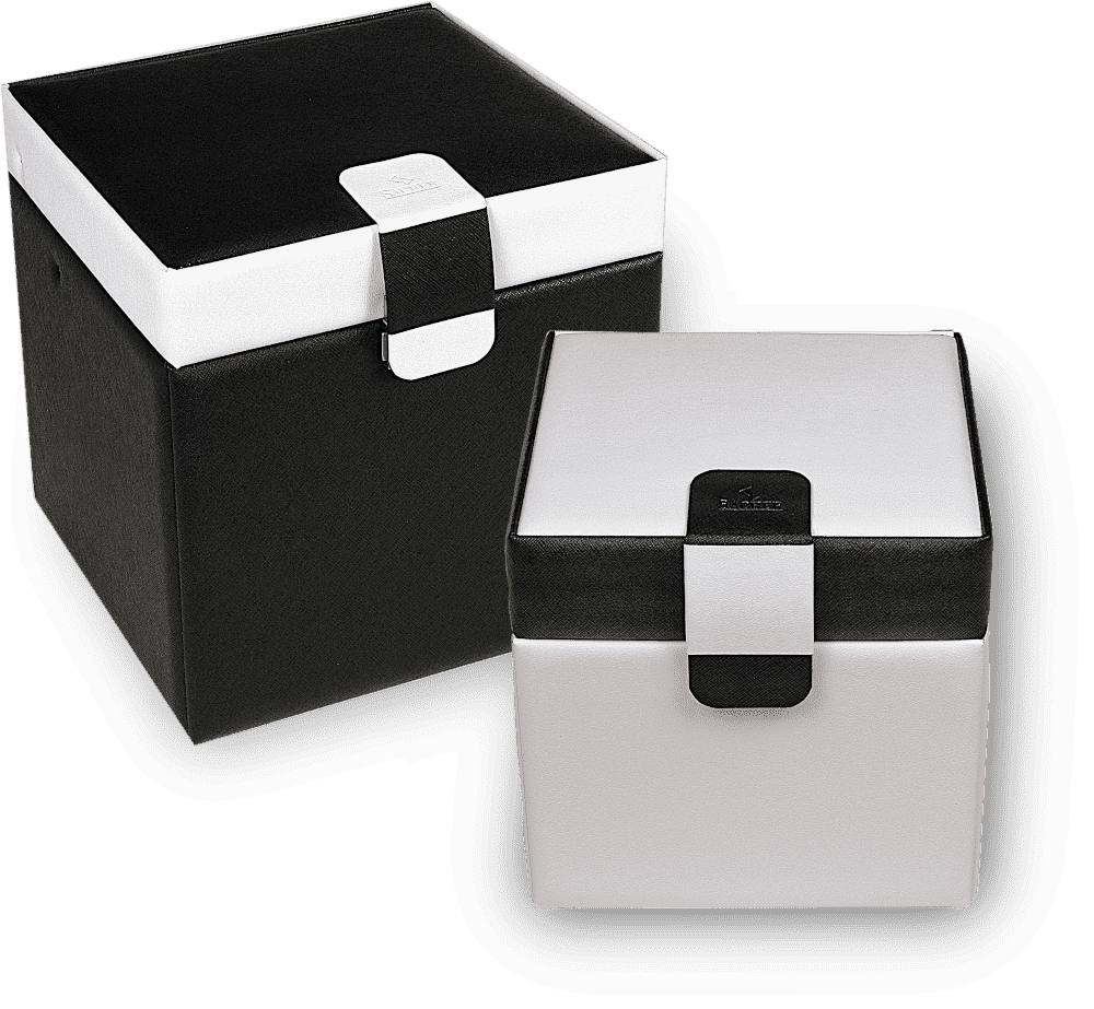 Uhrenbox Uhrenkoffer Etui für 1 Uhr Aufbewahrungsbox für Uhren aus EVA schön