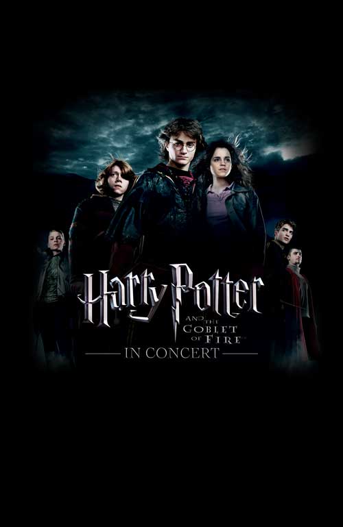 Magic At Home The Harry Potter Film Concert Series